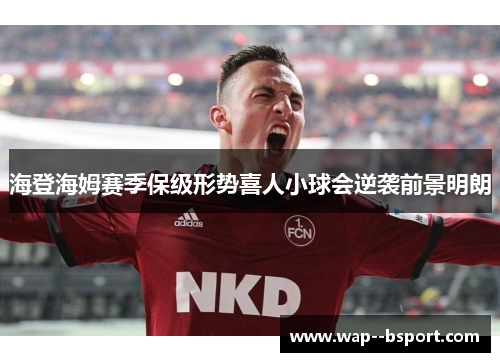 海登海姆赛季保级形势喜人小球会逆袭前景明朗